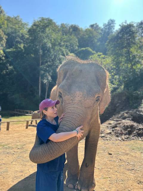 Person hugging an elephant in a natural setting.