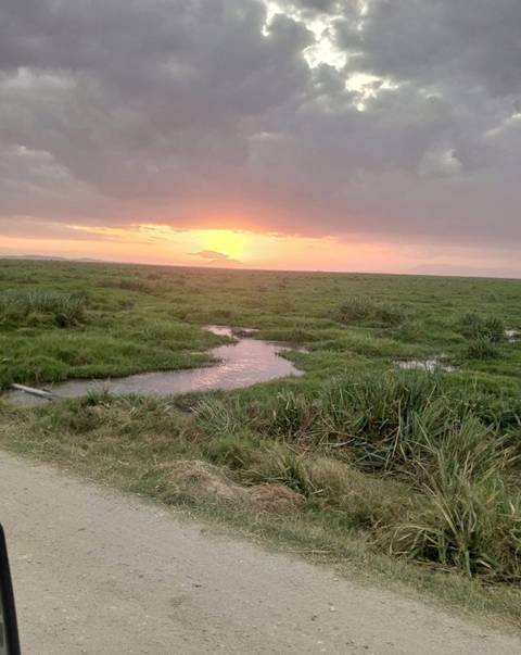       Sunset view over a grassy landscape with a waterway.
  