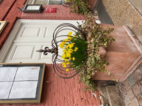 Flower pot with bright yellow flowers.