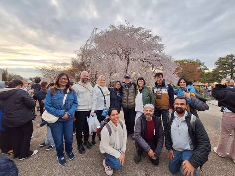 A group of tourists posing in front of a cherry blossom tree.
