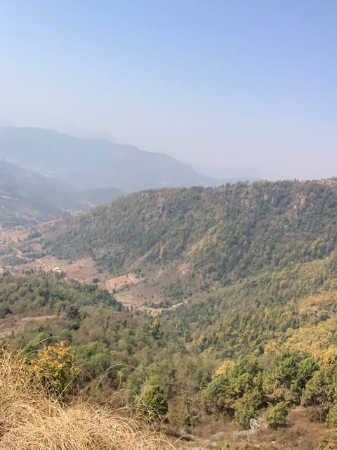       Hillside covered in greenery.
  