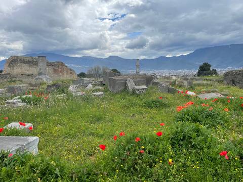Ruins of an ancient city with mountains in the background.