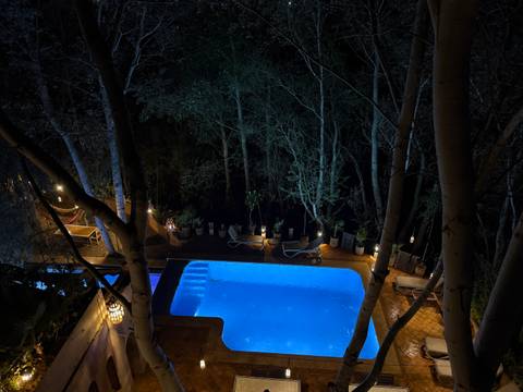 Night view of a lit swimming pool surrounded by trees.