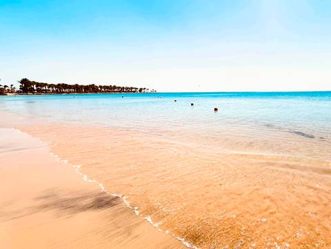 Serene beach with clear blue water and palm trees.