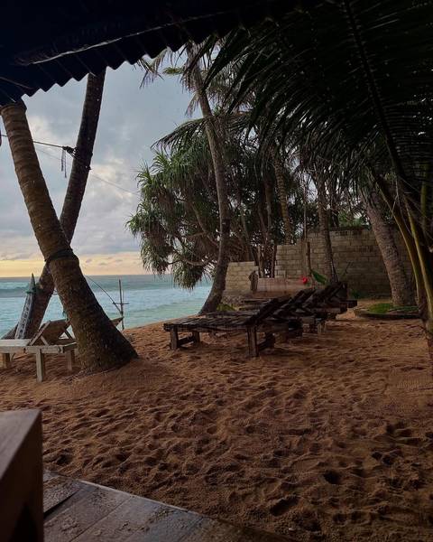 Beach scene with palm trees and wooden sunbeds.