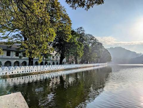 Lake surrounded by trees and historic buildings.