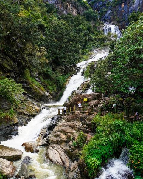 Visitors exploring a waterfall amidst greenery.