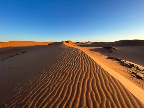       Extended sand dune landscape under a clear sky.
  