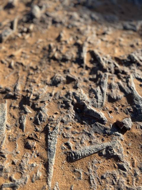       Close-up of rocky desert terrain.
  