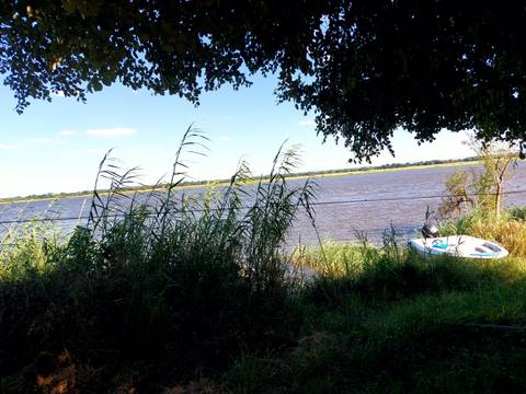       Small boat on a river surrounded by greenery.
  