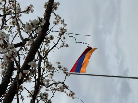       Armenian flag beside blossoming tree branches.
  