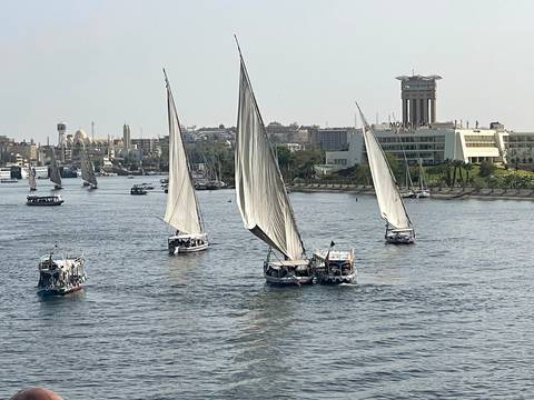       Sailboats on a river with a city in the background.
  