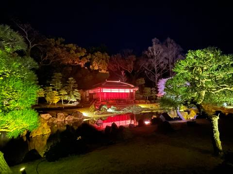 Illuminated garden with traditional structure at night