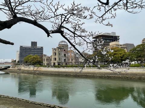 Riverside with cherry blossoms and buildings
