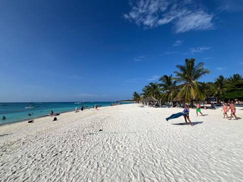      Sandy beach with people and palm trees
  