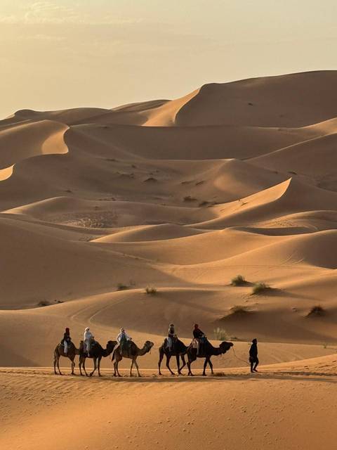       foto de reseña de cliente de Tour de lujo de 9 días por el Desierto de Glamping en Marruecos desde Marrakech, Fez y Chefchaouen 
  