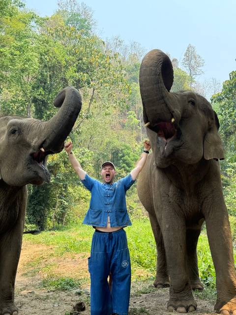 Person exalted among two elephants.