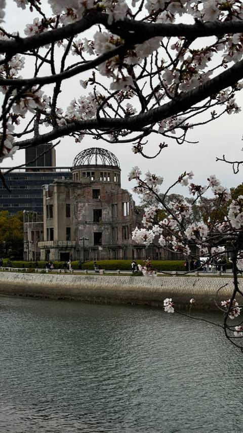 The Atomic Bomb Dome with cherry blossoms in foreground.