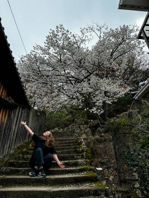 A person raising hands under blossom trees.