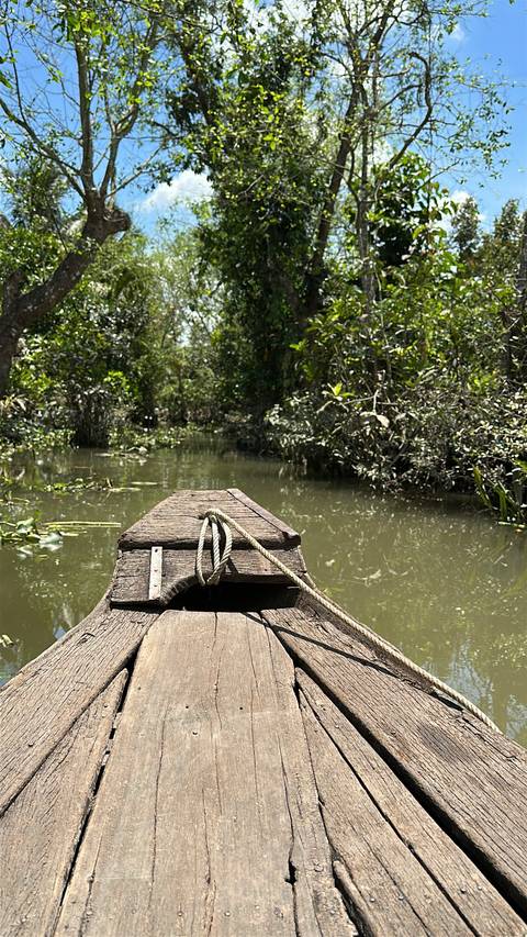       Wooden boat navigating a lush canal.
  
