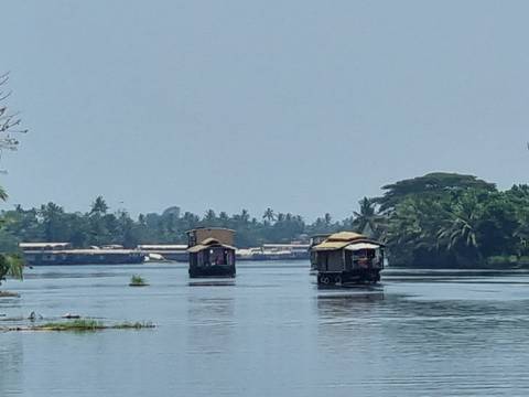       Houseboats on a calm river with lush greenery.
  