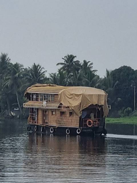       Houseboat on a river with palm trees in the background.
  