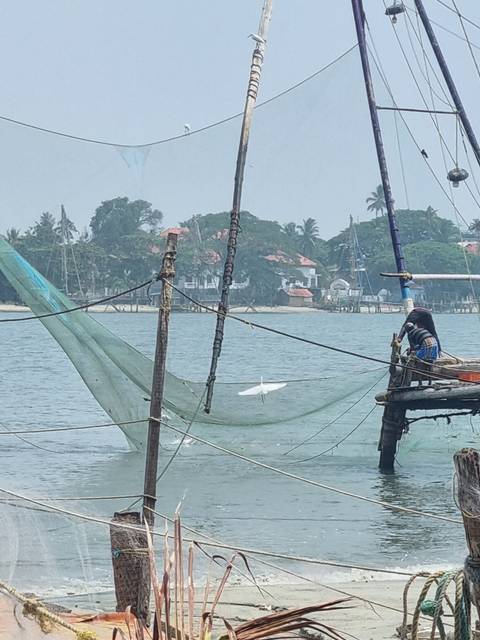       Fishing nets and a river with buildings in the background.
  