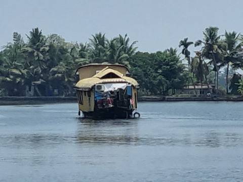       Houseboat on a river surrounded by trees.
  