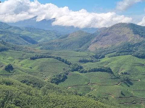       Lush green hills with a scenic view.
  