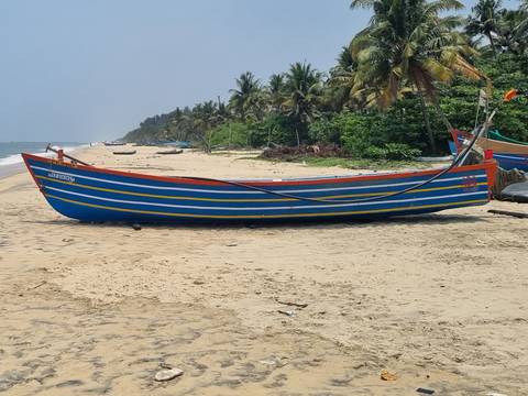       Colorful boat on a sandy beach with palm trees.
  