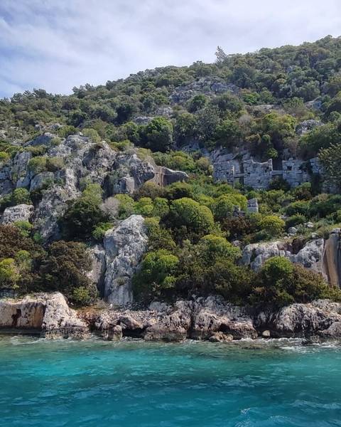       Hilly landscape with shrubs and rocky outcrops.
  