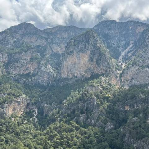       Steep rocky cliffs with dense vegetation.
  