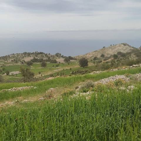       A scenic view of lush green fields and distant hills with a view of the sea.
  