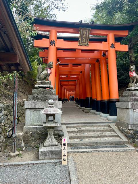 Pathway lined with red torii gates and stone statues.