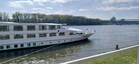 A cruise ship moored at a riverbank with trees and a bridge in the background.