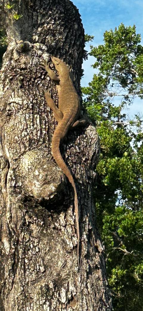       Photo d'avis client sur Les merveilles de l'Asie [Toutes les îles ] 26 JOURS 
  