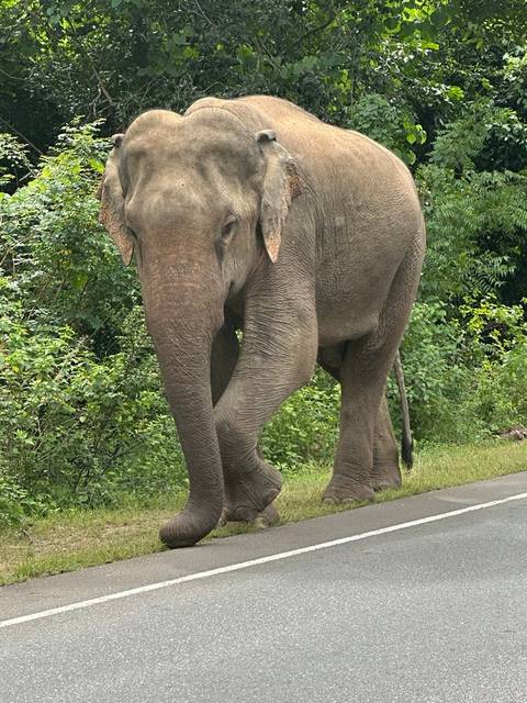       Photo d'avis client sur Les merveilles de l'Asie [Toutes les îles ] 26 JOURS 
  