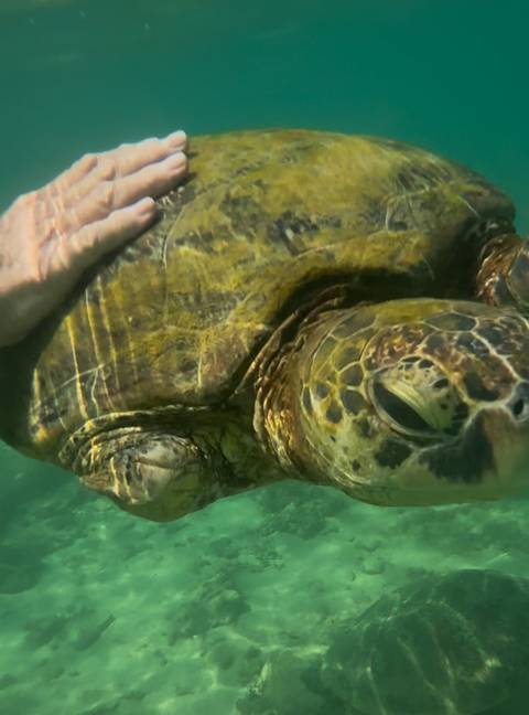       Photo d'avis client sur Les merveilles de l'Asie [Toutes les îles ] 26 JOURS 
  