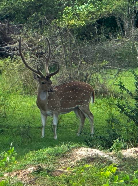       Photo d'avis client sur Les merveilles de l'Asie [Toutes les îles ] 26 JOURS 
  