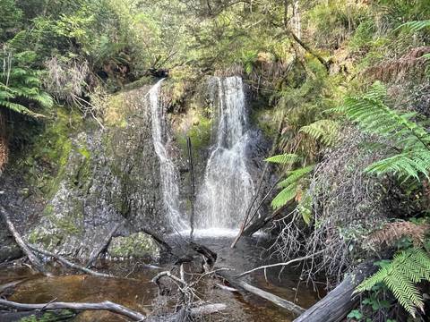Small waterfall surrounded by lush greenery.