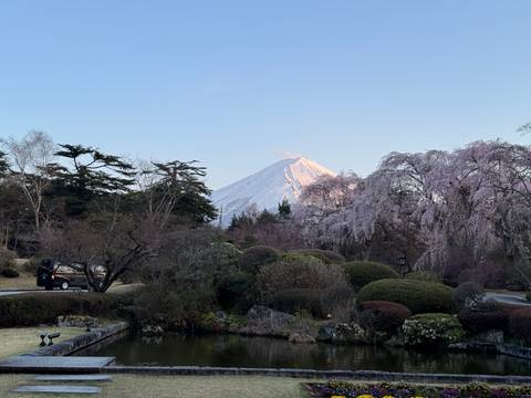 Majestic view of Mount Fuji with cherry blossoms in the foreground.