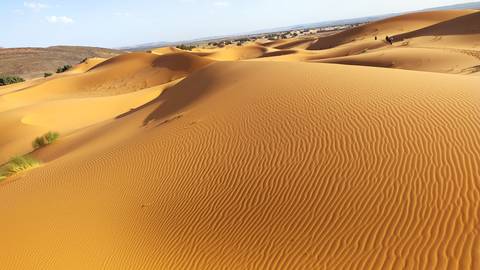       Expansive view of sand dunes under a clear sky.
  