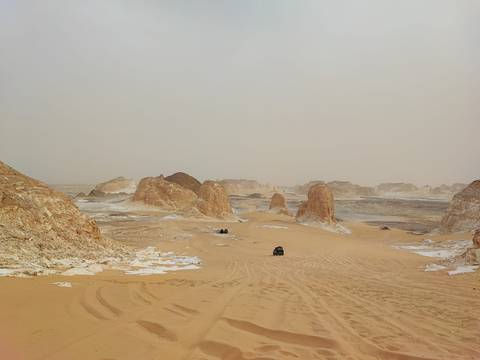       A vast desert landscape with unique rock formations.
  