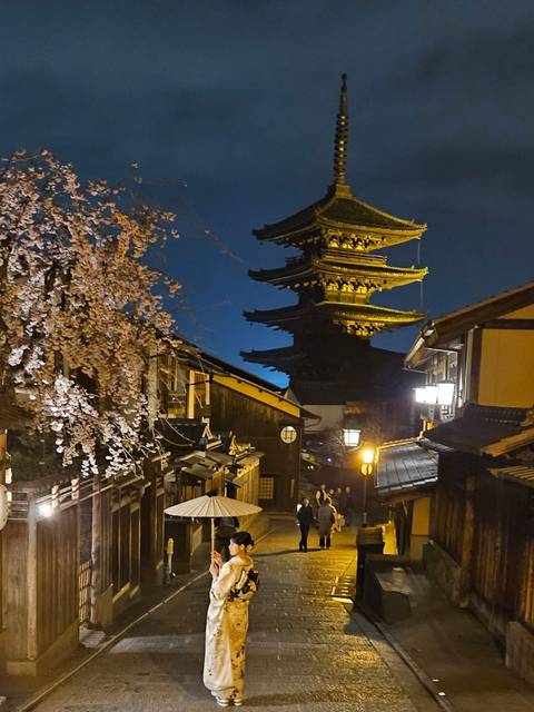 Temple pagoda and street scene at night with cherry blossoms.