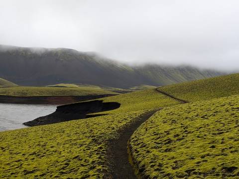 Misty landscape with green hills and winding path.