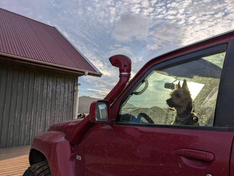 Dog sitting in a parked red vehicle beside a house.