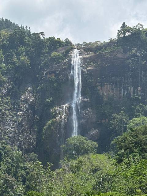      Tall waterfall cascading down a rocky cliff surrounded by lush greenery.
  