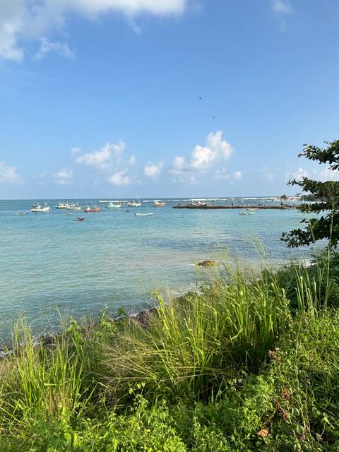 Boats in a calm sea with a jetty extending out.
