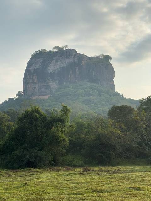       The rock fortress of Sigiriya rising above the forest.
  