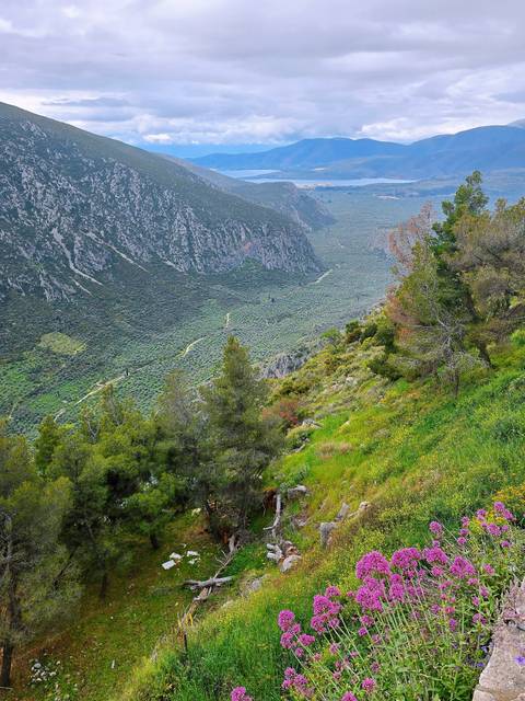       Scenic valley landscape with greenery and distant hills.
  